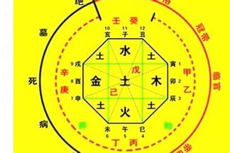 出生年月日算命|生辰八字算命、五行喜用神查询（免费测算）